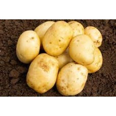 Home Guard - Early Potatoes 2kg